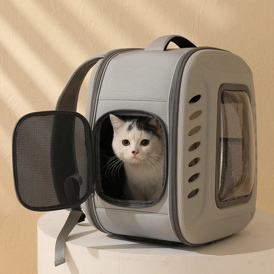 Cat Travel Backpack