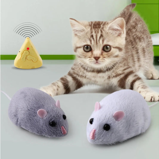Wireless Mouse and Cheese Toy