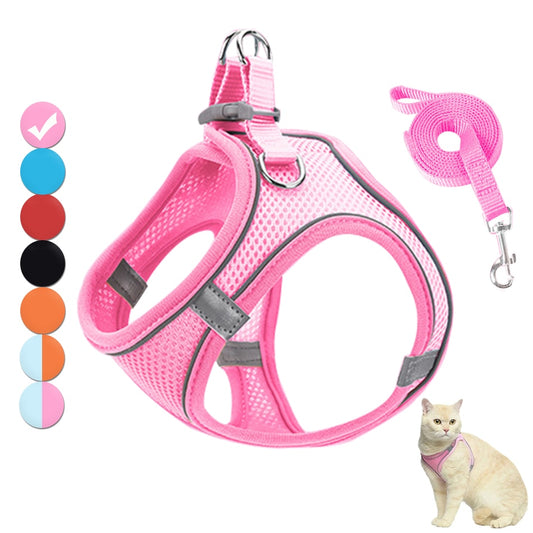 Glow-in-the Dark Harness with Leash